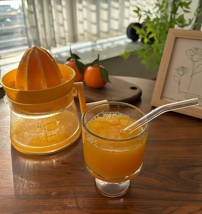 Portable Multi-functional Citrus Juicer